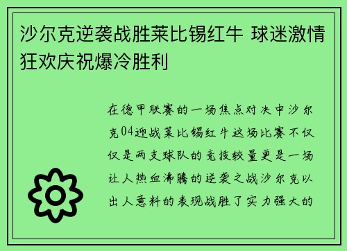 沙尔克逆袭战胜莱比锡红牛 球迷激情狂欢庆祝爆冷胜利