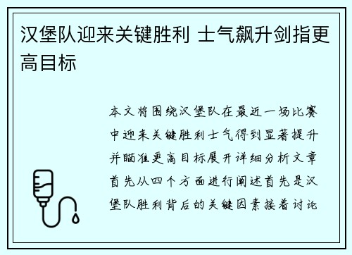 汉堡队迎来关键胜利 士气飙升剑指更高目标