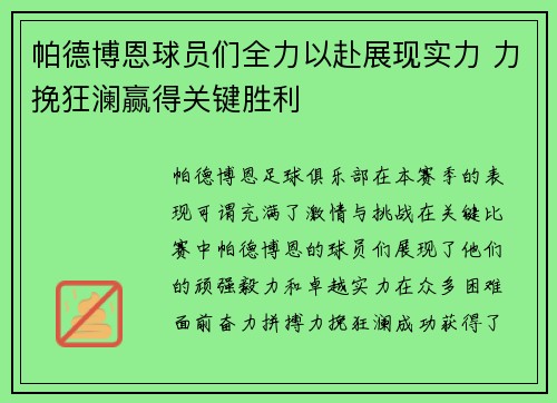 帕德博恩球员们全力以赴展现实力 力挽狂澜赢得关键胜利